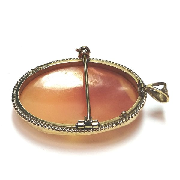 9ct Gold Shell Cameo Brooch/Pendant (1984)