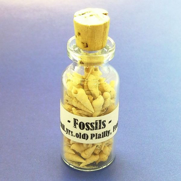 Bottle Of Fossils